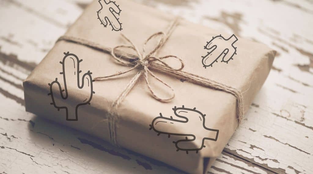 cactus themed gift idea wrapped in brown craft paper