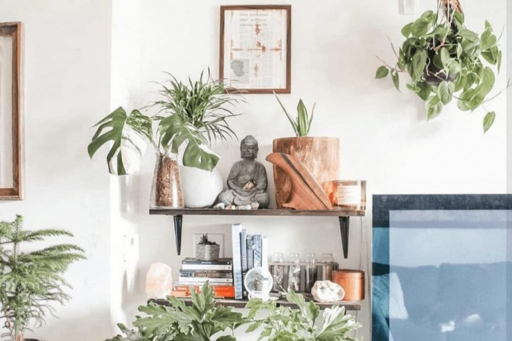 Apartment decorated with plants and zen vibe
