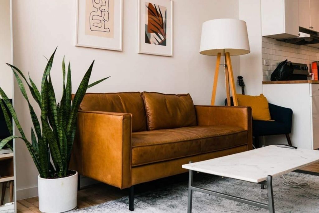 snake plant in white pot on floor beside golden brown couch in earth tone room