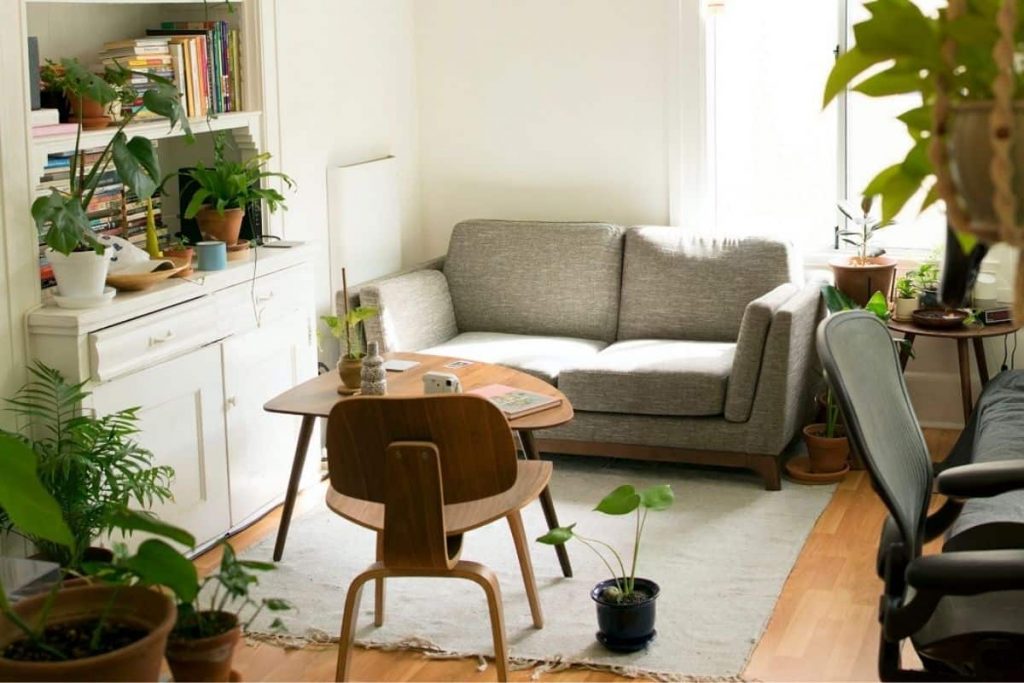apartment living room decorated with grey sofa, various plants on bookcase and end tables