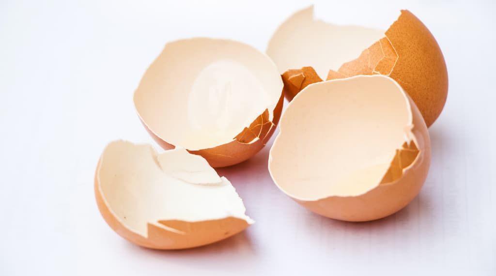 cracked eggshells good for houseplants