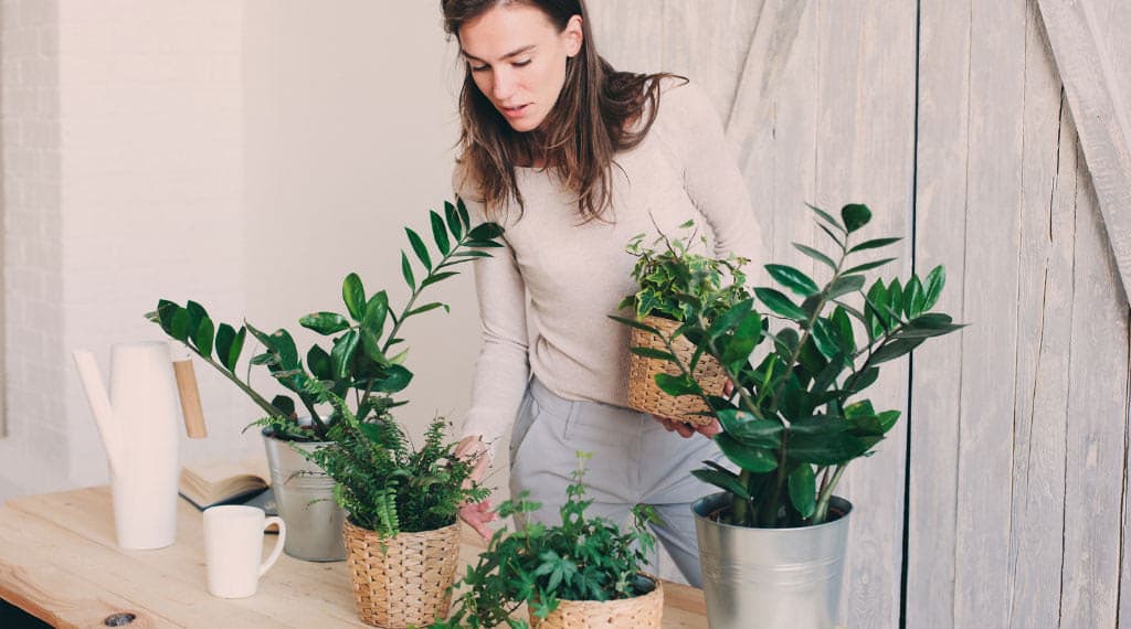 woman preparing to move indoor plants outside